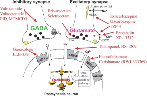 gabapentin-mechanism